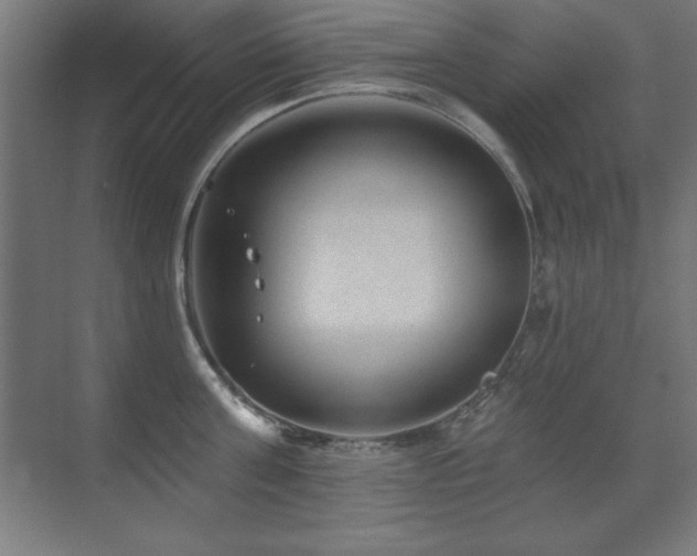 X0000071340811200606231136