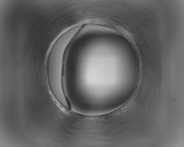 X0000071340816200606231136