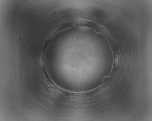 X0000071340819200606231136