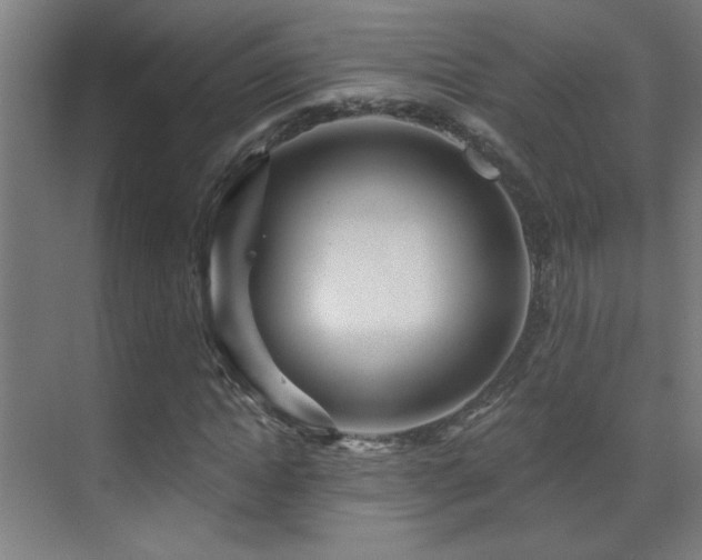 X0000071340822200606231136