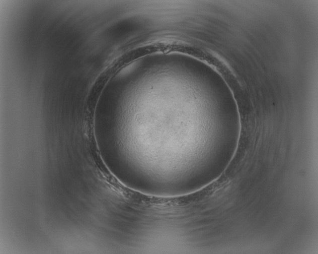 X0000071340823200606231136