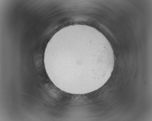 X0000071340824200606231136