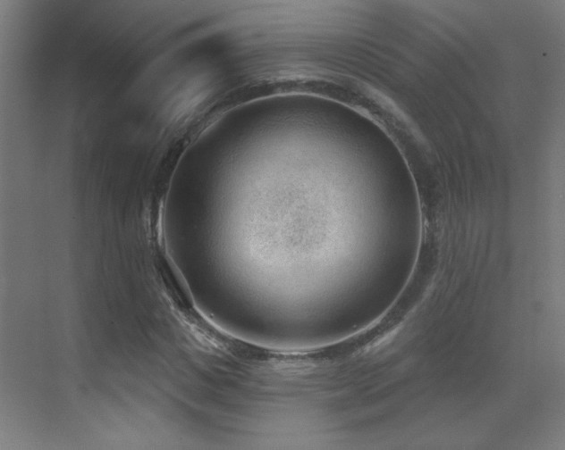 X0000071340825200606231136