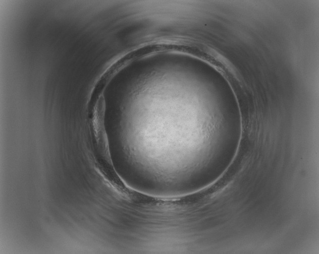 X0000071340829200606231136