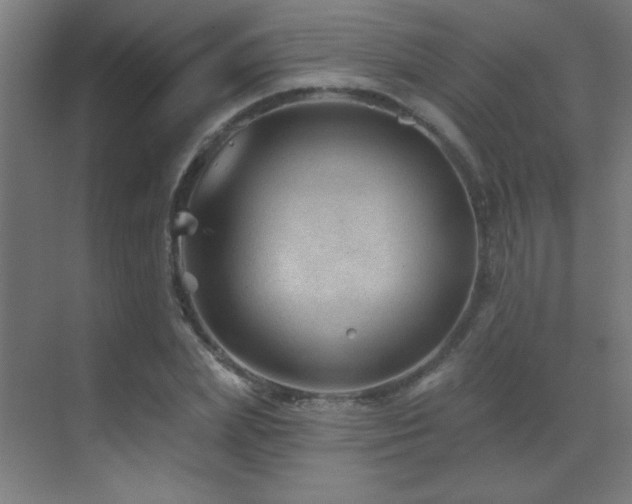 X0000071340831200606231136