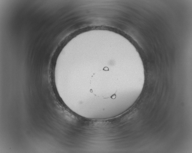 X0000071340832200606231136