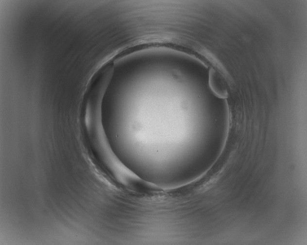 X0000071340834200606231136