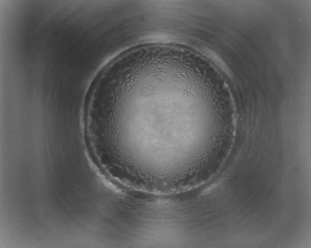 X0000071340839200606231136