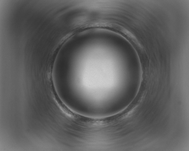 X0000071340841200606231136