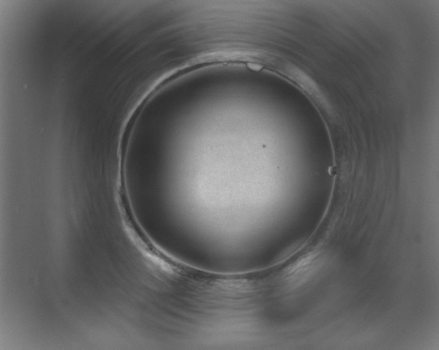 X0000071340844200606231136