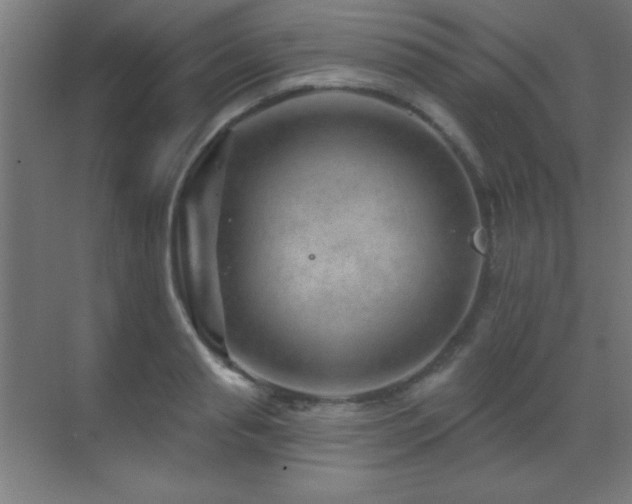 X0000071340845200606231136