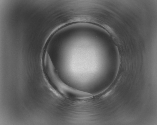 X0000071340846200606231136