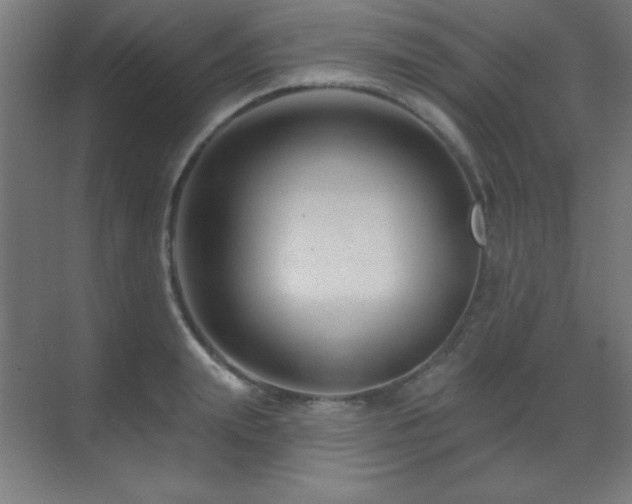 X0000071340847200606231136