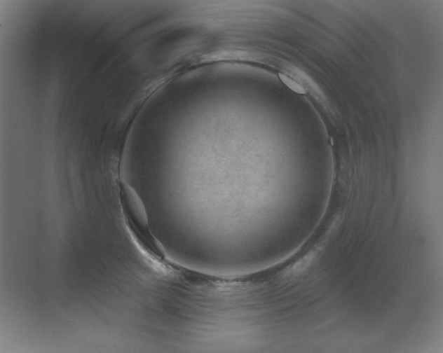 X0000071340849200606231136