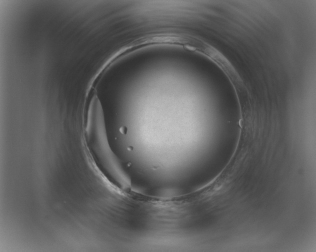 X0000071340852200606231136