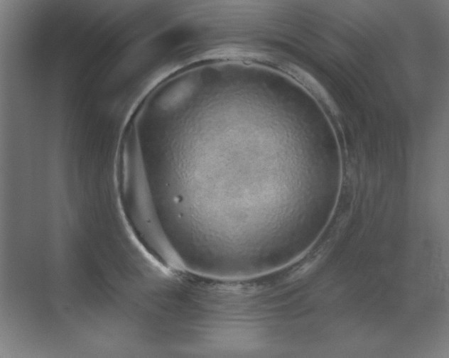 X0000071340855200606231136