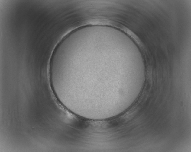 X0000071340856200606231136