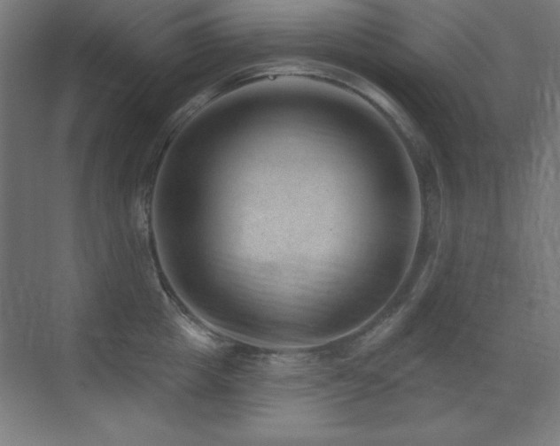 X0000071340857200606231136