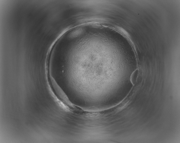 X0000071340859200606231136