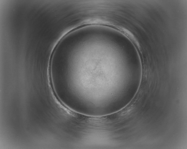 X0000071340863200606231136