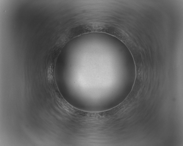 X0000071340866200606231136