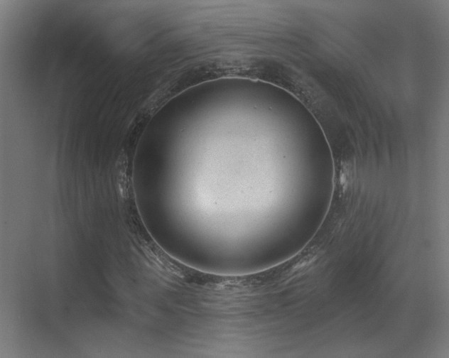 X0000071340867200606231135