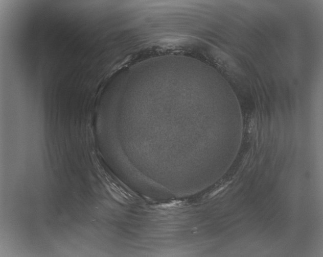 X0000071340868200606231135