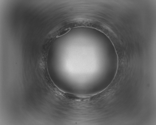 X0000071340869200606231135