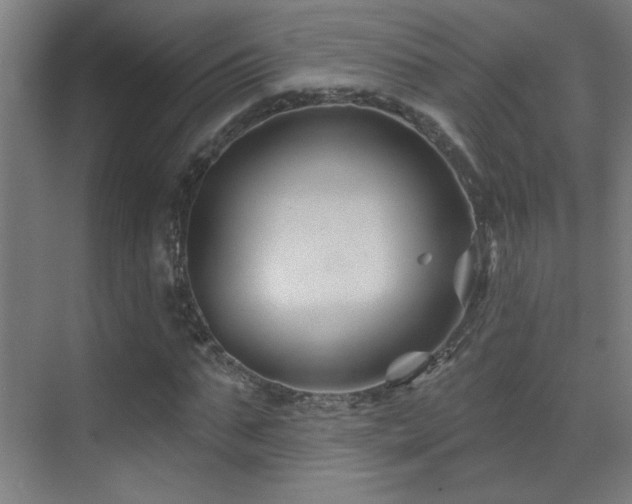 X0000071340871200606231135