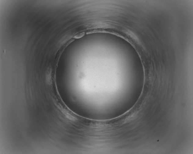 X0000071340873200606231135