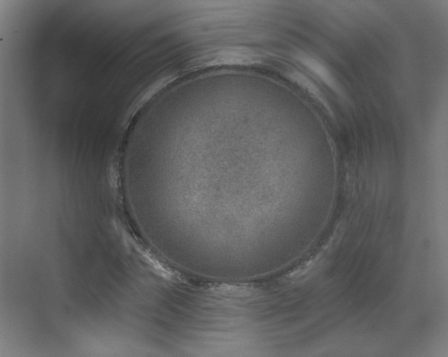 X0000071340874200606231135