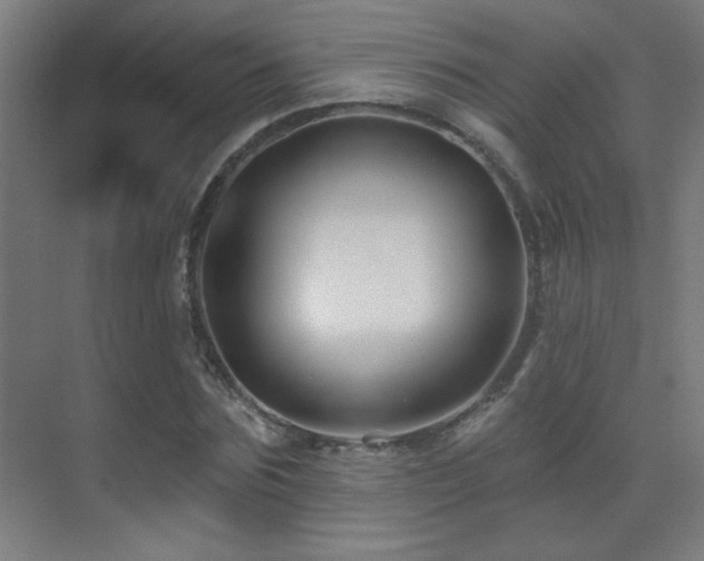 X0000071340875200606231135