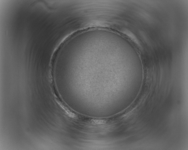 X0000071340878200606231135