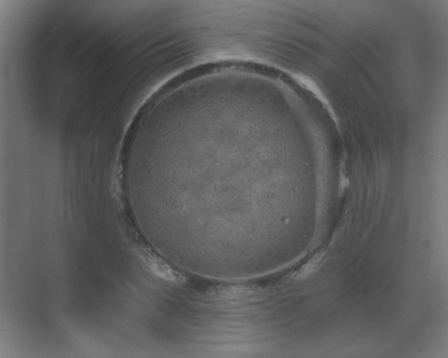 X0000071340879200606231135