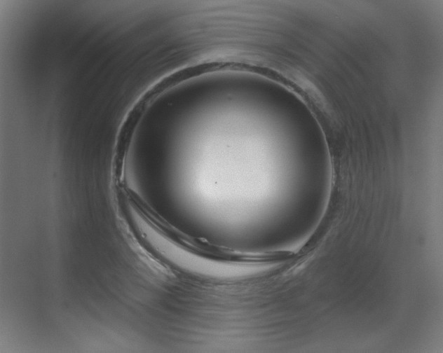 X0000071340880200606231135