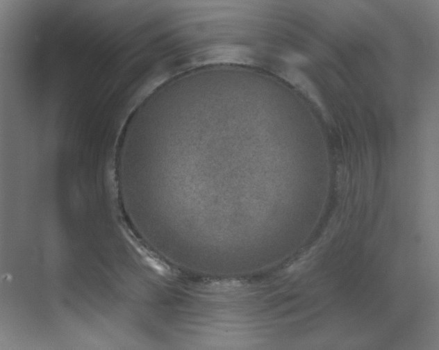 X0000071340882200606231135