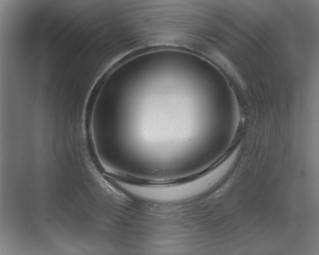 X0000071340884200606231135