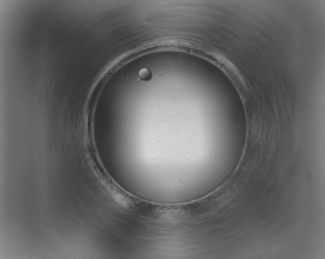 X0000071340886200606231135