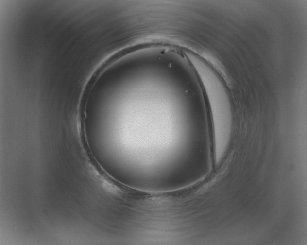 X0000071340888200606231135