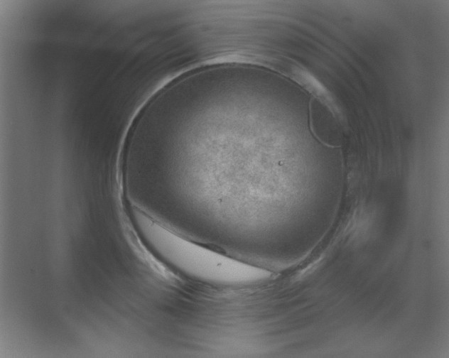 X0000071340892200606231135