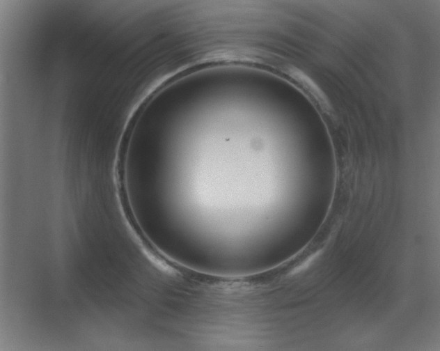 X0000071340893200606231135