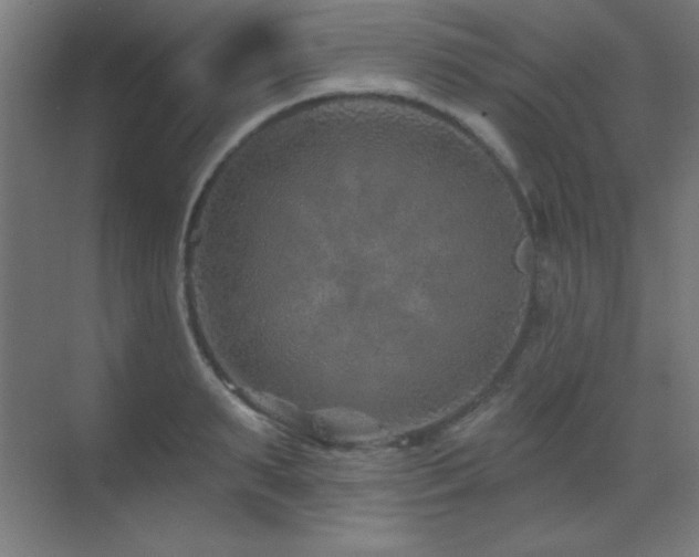 X0000071340895200606231135