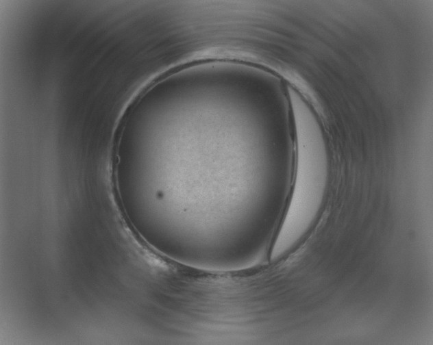 X0000071340896200606231135