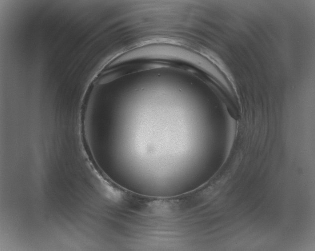 X0000071340898200606231135