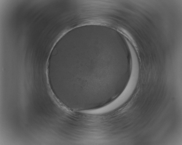 X0000071340899200606231135