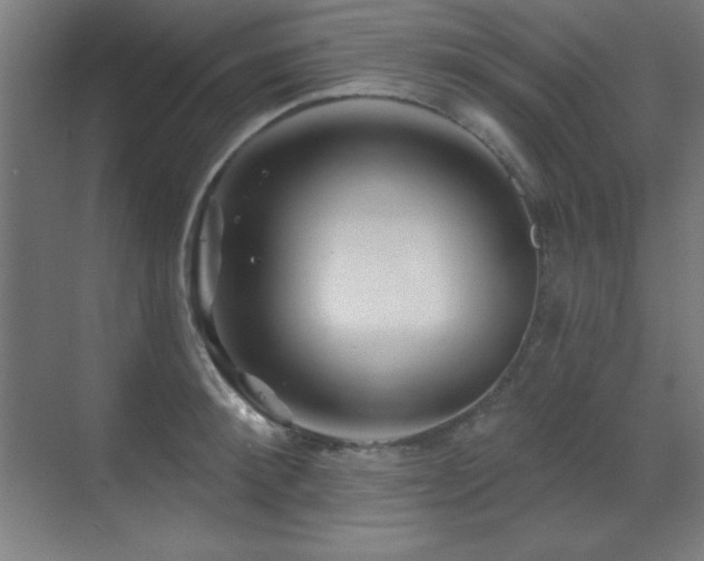 X0000071340900200606231135