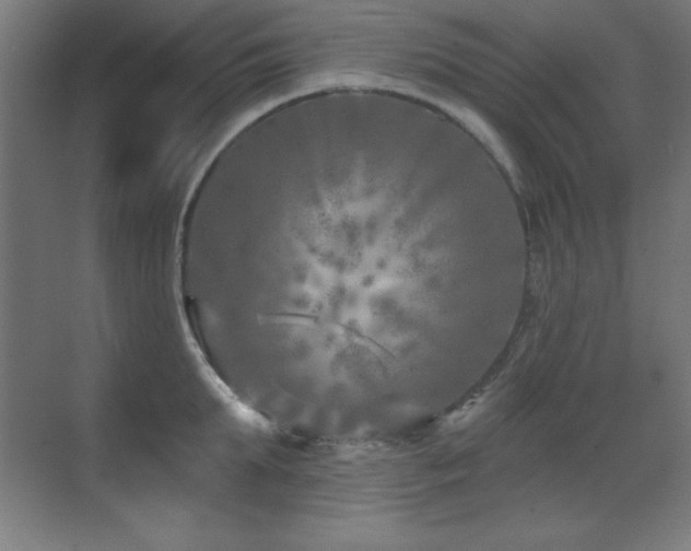 X0000071340903200606231135