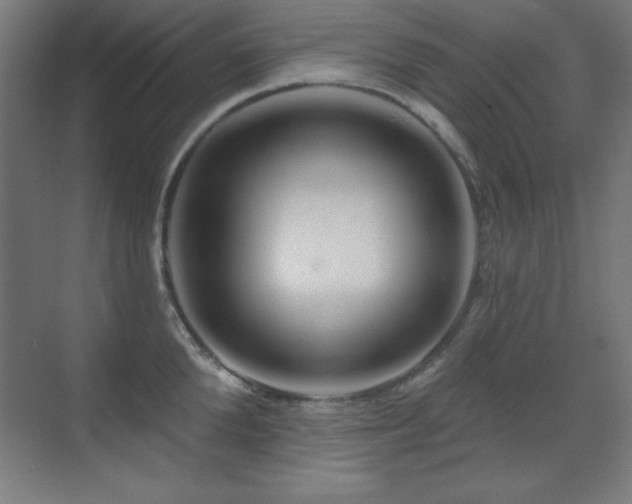 X0000071340904200606231135