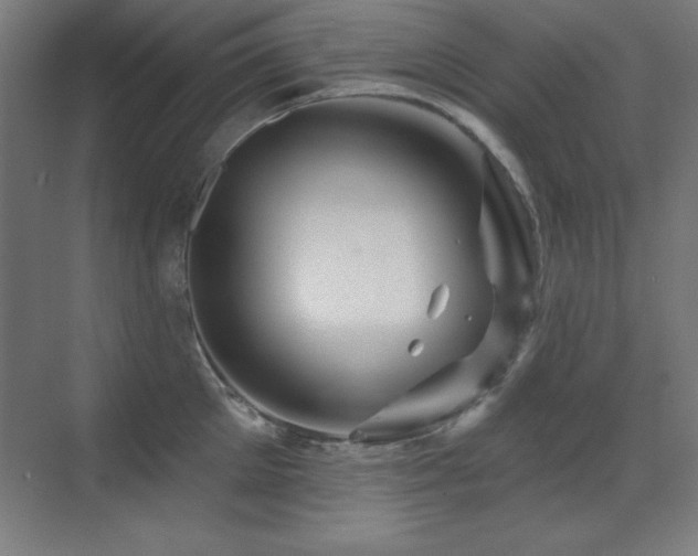 X0000071340905200606231135