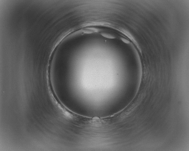 X0000071340906200606231135